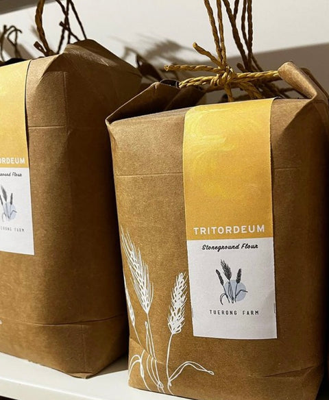 Tritordeum Flour (Yellow Flour)