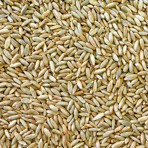 Organic Rye Grain 12.5kg / 2.5kg