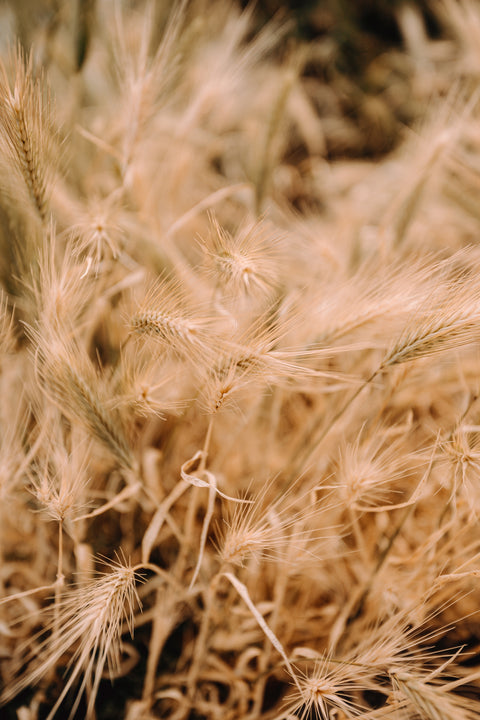 Wholegrain Milling Co.