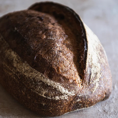 Sea Otter (Malted Barley Flour)