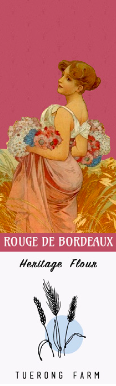 Rouge de Bordeaux (1800s Heritage Wheat)